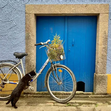Casa Do Paço Appartement Aveiro
