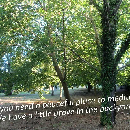 Apartament Casa Do Paco - Aveiro