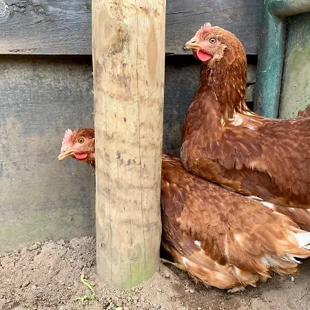 Casa Do Paco - Apartament *