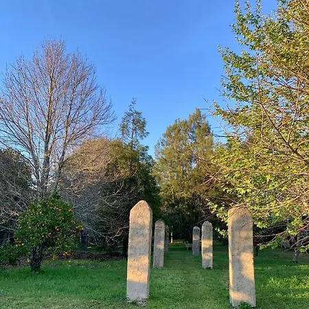 Apartamento Casa Do Paço Aveiro