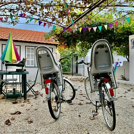 Casa Do Paco Holiday home Aveiro