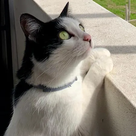 Casa Do Paco - * Aveiro