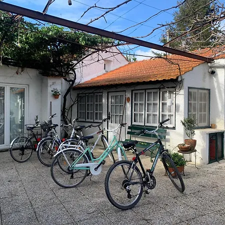 Casa Do Paco * Aveiro