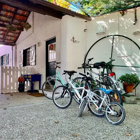 Apartamento Casa Do Paço