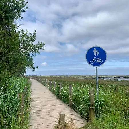 Apartamento Casa Do Paço Aveiro